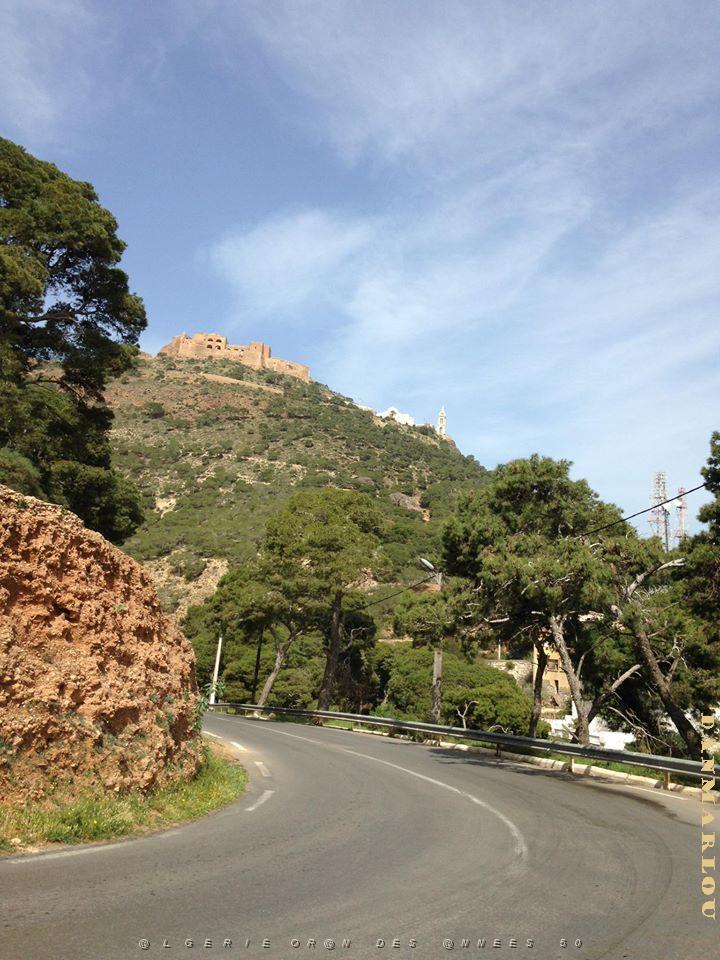 ORAN (5).jpg